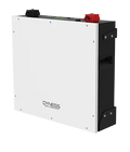 1X 48V DYNESS LITHIUM BATTERY