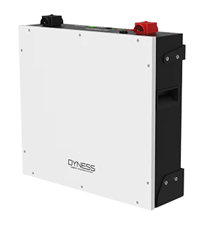 1X 48V DYNESS LITHIUM BATTERY